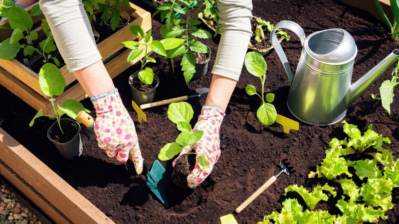 Garden Bed with Fresh Soil
