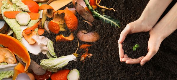 Bulk Compost Delivery - Bulk Compost Delivery Mcallen, Texas