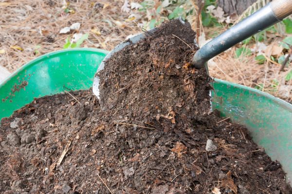 Large Compost Delivery